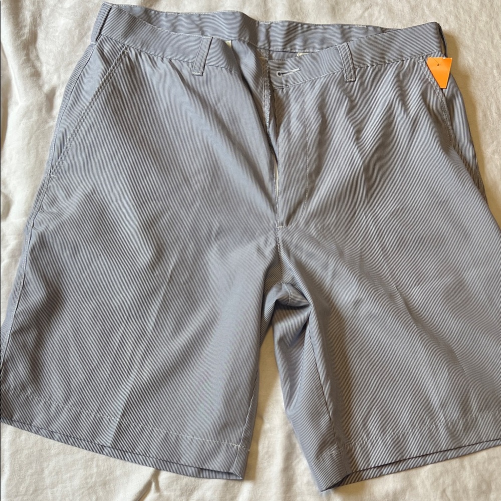 Alan Flusser blue pinstripe Flat Front Men's Shorts